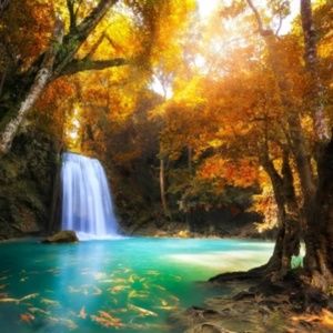 Meet your Posher, Eddis